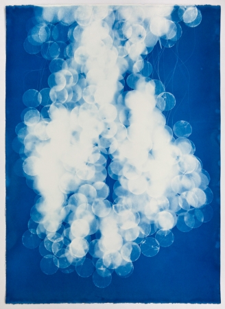 Vanessa Albury<br /> <i>Light Shadowgraphs, Chandelier IV,&nbsp;</i>2017<br /> Cyanotype on paper<br /> 33 x 24"&nbsp;<br /> Unique