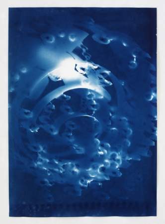 Vanessa Albury<br /> <i>Light Shadowgraphs, Chandelier VII,&nbsp;</i>2014<br /> Cyanotype on paper<br /> 19 x 14"&nbsp;<br /> Unique