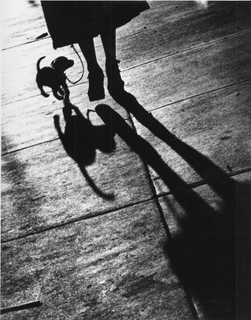 Benn Mitchell, Shadow of Woman's Legs with her dog, 1950.jpeg