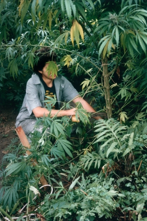 <strong>Mel Frank</strong><br /> <i>Harvesting, Dutchess County, NY</i>, 1982<br /> Edition of 10<br /> Archival pigment print<br /> 20 x 13 inches