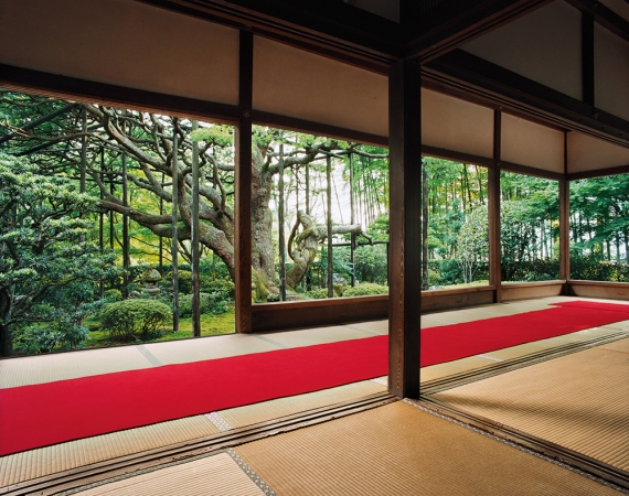 Jacqueline Hassink<br /> <em>Hōsen-in 1, summer,&nbsp;Northeast Kyoto,&nbsp;29 June 2004 (16:00–17:30)</em><br /> Chromogenic prints<br />50 x 63" Shared edition of 7<br />Additional sizes available, please contact gallery for more information