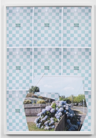 Jude Broughan, Diaspora I (Hollywood FL, Hamilton NZ, hydrangea)2020, 14 x 10 inches, pigment prints, thread, unique