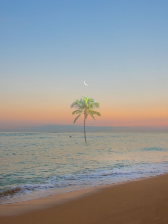 KangHee Kim, Untitled (Palm in Ocean) 2022