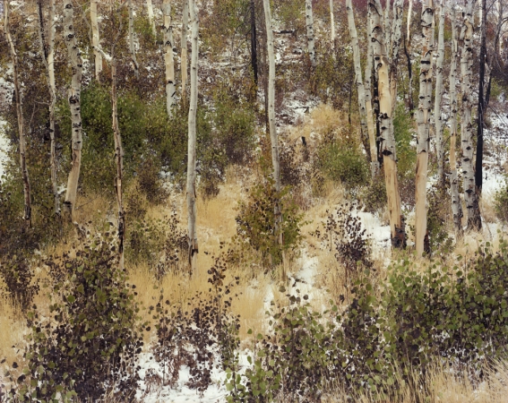 Laura McPhee<br /> <em>Late Fall (Aspens), </em>2008<br /> Digital chromogenic print<br />30 x 40" Edition of 5<br />Additional sizes available, please contact gallery for more information