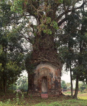 Laura McPhee<br /> <em>Banyan Tree and 16th Century Terracotta Temple, Attpur, West Bengal, India, 1998</em><br /> Archival Pigment Ink Prints<br /> 30 x 40" &nbsp; &nbsp;Edition of 5<br /> 40 x 50" &nbsp; &nbsp;Edition of 5<br /> 50 x 60" &nbsp; &nbsp;Edition of 5