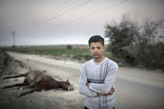 Paolo Pellegrin<br /> <em>A young daily worker in front of the carcass of a dead horse, Gaza, Palestine 2011</em><br /> Pigment ink print<br />20 x 24” &nbsp; &nbsp;Edition of 10 plus 2 APs<br /> 30 x 40” &nbsp; &nbsp;Edition of 5 plus 2 APs<br /> 48 x 70” &nbsp; &nbsp;Edition of 3 plus 2 APs