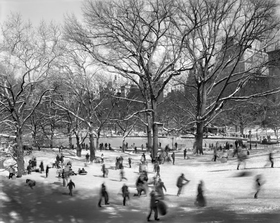 Matthew Pillsbury<br /> <em>Pilgrim Hill, Central Park, February 9, 2013</em><br /> Archival pigment ink prints<br /> 13 x 19"&nbsp;&nbsp;&nbsp; Edition of 20<br /> 30 x 40"&nbsp; &nbsp; Edition of 10<br /> 50 x 60"&nbsp;&nbsp;&nbsp; Edition of 3