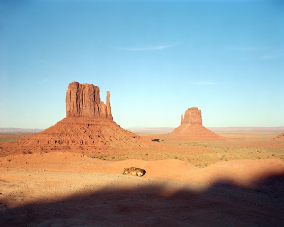Richard Renaldi<br /> <em>Monument Valley, Utah, </em>2010<br /> Archival pigment prints<br /> 30 x 36" &nbsp; &nbsp;Edition of 4 (plus 2 APs)<br /> 49 x 59" &nbsp; &nbsp;Edition of 3 (plus 2 APs)<br />
