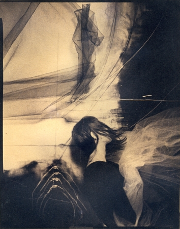Lauren Semivan<br /> <em>The Waves, </em>2013<br /> Tea toned cyanotype, contact print from original negative<br /> 10 x 8" &nbsp; &nbsp;Edition of 10