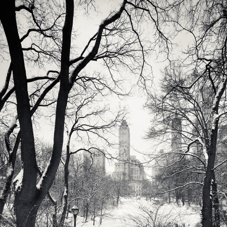 Josef Hoflehner<br /> <em>Snow Capped Central Park, Study 6, New York City, New York, &nbsp;</em>2011<br /> Archival pigment ink prints<br /> 12 x 12" &nbsp; &nbsp;Edition of 15<br /> 20 x 20" &nbsp; &nbsp;Edition of 10<br /> 40 x 40" &nbsp; &nbsp;Edition of 5<br /> 60 x 60" &nbsp; &nbsp;Edition of 5<br /> <br />
