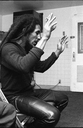 The Family Acid, Bob Marley, San Diego Sports Arena, November, 1979