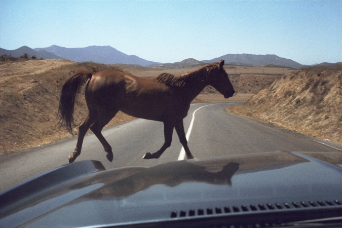 Roger Steffens and The Family Acid<br /> <i>Wild Horse Encounter, August,&nbsp;</i>1978<br /> Archival pigment print<br /> 20 x 24" &nbsp; &nbsp; Edition of 8