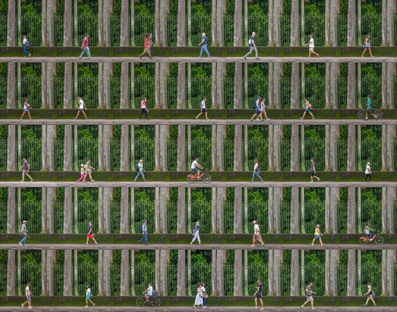 Time Lapse. Jardim Botanico, Rio de Janeiro