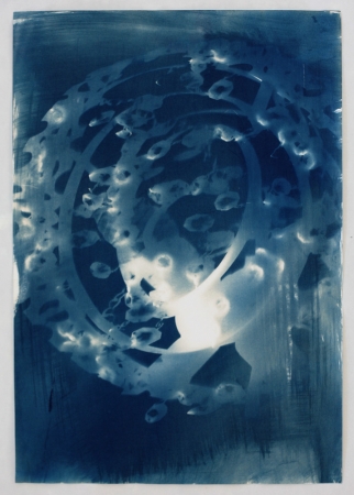 Vanessa Albury, Light Shadowgraphs, Chandelier I, 2014, 17 x 12 inches, cyanotype, unique