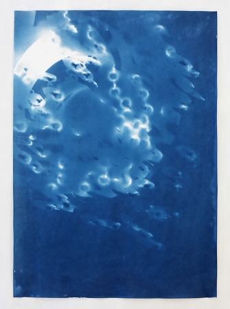 Vanessa Albury, Light Shadowgraphs, Chandelier VIII, 2014, 17 x 12 inches, cyanotype, unique