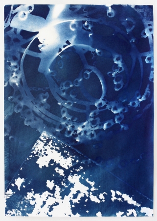 Vanessa Albury, Light Shadowgraphs, Chandelier XXII, 2014,17 x 12 inches, cyanotype, unique