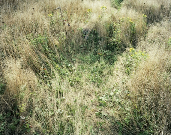 Katherine Wolkoff<br /> <i>Deerbeds 07</i>, 2007<br /> Archival Pigment Print<br /> 20x24" Edition of 7<br /> 40x50" Edition of 7