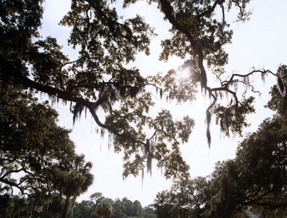 Katherine Wolkoff<br /> <i>Untitled 02</i>, Georgia, Nocturne, 2005<br /> Archival Pigment Print<br /> 30x40" Edition of 7<br /> 40x50" Edition of 7