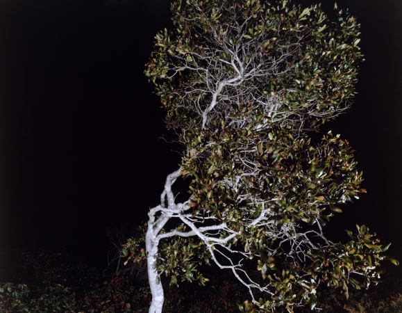 Katherine Wolkoff<br /> <i>Untitled 03</i>, Block Island, Nocturne, 2005<br /> Archival Pigment Print<br /> 20x24" Edition of 7<br /> 30x40" Edition of 7
