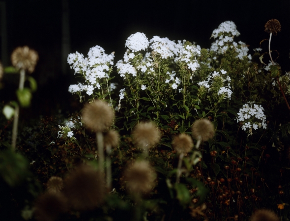 Katherine Wolkoff<br /> <i>Untitled 13</i>, Block Island, Nocturne, 2005<br /> Archival Pigment Print<br /> 20x24" Edition of 7<br /> 30x40" Edition of 7