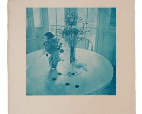 Stephen Hilger, Flowers, 1998/2003, photogravure, 24 x 21 inches, unique.