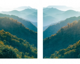 Eric Cahan, Mama Patch, diptych, 2021