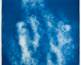 Vanessa Albury<br /> <i>Light Shadowgraphs, Chandelier VIII,&nbsp;</i>2017<br /> Cyanotype on paper<br /> 33 x 24"&nbsp;<br /> Unique