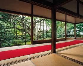 Jacqueline Hassink<br /> <em>Hōsen-in 1, summer,&nbsp;Northeast Kyoto,&nbsp;29 June 2004 (16:00–17:30)</em><br /> Chromogenic prints<br />50 x 63" Shared edition of 7<br />Additional sizes available, please contact gallery for more information