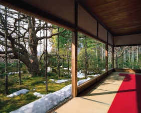 Jacqueline Hassink<br /> <em>Hōsen-in 1, winter,&nbsp;Northeast Kyoto,&nbsp;14 February 2011 (14:00–16:30)</em><br /> Chromogenic prints<br />50 x 63" Shared edition of 7<br />Additional sizes available, please contact gallery for more information