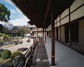 Jacqueline Hassink<br /> <em>Sanpō-in 3,&nbsp;Southeast Kyoto,&nbsp;29 March 2010 (8:00–9:00)</em><br /> Chromogenic prints<br />41 x 51", 50 x 63", and&nbsp;63 x 79"&nbsp; &nbsp;Shared edition of 7<br />