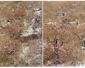 Laura McPhee<br /> <em>Late Fall (Burned Sage Brush), </em>2008<br /> Digital chromogenic print<br />30 x 40" Edition of 5<br />Additional sizes available, please contact gallery for more information