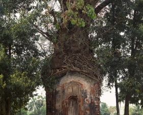 Laura McPhee<br /> <em>Banyan Tree and 16th Century Terracotta Temple, Attpur, West Bengal, India, </em>1998<br /> 40 x 30"<br /> Archival pigment ink print<br /> Signed, titled, dated and numbered on verso<br /> Edition of 5