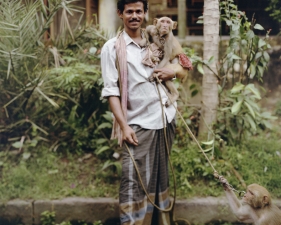 Laura McPhee<br /> <em><span style="font-size:12px;"><span style="font-family: arial, sans-serif;">Street Performer with Two Monkeys, Jodhpur Park, Kolkata, 1998</span></span></em><br /> Archival Pigment Ink Prints<br /> 20 x 24" Edition of 5 <br />Additional sizes available, please contact gallery for more information