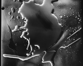 Abelardo Morell<br /> <em>Water and Ink: Photogram on 20x24" film, contact print, 2006</em><br /> Archival ink print mounted to aluminum<br /> signed, titled and dated on verso<br /> 20 x 24" Edition of 30