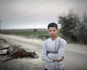 Paolo Pellegrin<br /> <em>A young daily worker in front of the carcass of a dead horse, Gaza, Palestine 2011</em><br /> Pigment ink print<br />20 x 24” &nbsp; &nbsp;Edition of 10 plus 2 APs<br /> 30 x 40” &nbsp; &nbsp;Edition of 5 plus 2 APs<br /> 48 x 70” &nbsp; &nbsp;Edition of 3 plus 2 APs
