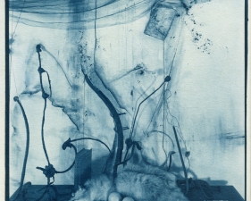Lauren Semivan<br /> <em>Fox and Lemons, </em>2011<br /> 10 x 8"<br /> Cyanotype<br /> Signed, titled, dated and numbered on verso<br /> Edition of 10