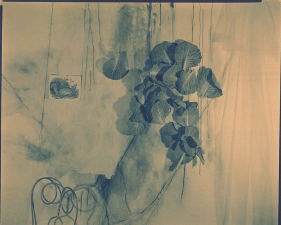 Lauren Semivan<br /> <em>Untitlted (June 25), </em>2013<br /> 8 x 10"<br /> Cyanotype<br /> Signed, titled, dated and numbered on verso<br /> Edition of 10