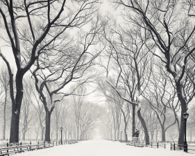 Josef Hoflehner<br /> <em>Snow Capped Central Park, Study 2, New York City, New York, &nbsp;</em>2011<br /> Archival pigment ink prints<br /> 12 x 12" &nbsp; &nbsp;Edition of 15<br /> 20 x 20" &nbsp; &nbsp;Edition of 10<br /> 40 x 40" &nbsp; &nbsp;Edition of 5<br /> 60 x 60" &nbsp; &nbsp;Edition of 5<br /> <br />