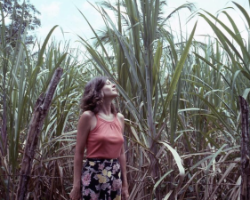 The Family Acid, Mom in Lucea, Jamaica, June, 1976