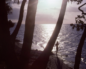 The Family Acid, Sunset in Montego Bay, August, 1985