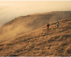 Roger Steffens and The Family Acid<br /> <i>Bolinas Ridge</i><br /> Archival pigment print<br /> 20 x 24" &nbsp; &nbsp; Edition of 8