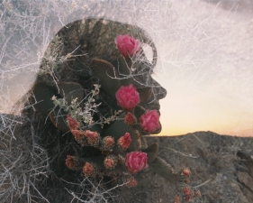 Roger Steffens and The Family Acid<br /> <i>Mary, Queen of the Cactus, April,&nbsp;</i>1986<br /> Archival pigment print<br /> 20 x 24" &nbsp; &nbsp; Edition of 8