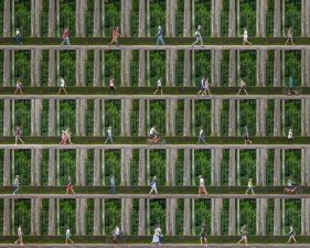 Time Lapse. Jardim Botanico, Rio de Janeiro