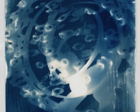 Vanessa Albury, Light Shadowgraphs, Chandelier I, 2014, 17 x 12 inches, cyanotype, unique