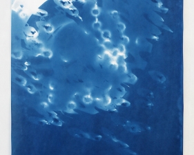 Vanessa Albury, Light Shadowgraphs, Chandelier VIII, 2014, 17 x 12 inches, cyanotype, unique