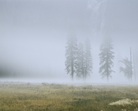 Christopher Woodcock<br /> <em>Night Fog, Yosemite Valley, Yosemite Field Station, </em>2012<br /> Digital C-Prints<br /> 18 x 36" &nbsp; &nbsp;Edition of 10<br /> 30 x 60" &nbsp; &nbsp;Edition of 6<br />